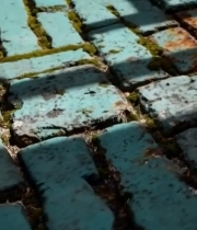  带锈迹地砖光影特写1350#竖屏 	 