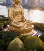  城市河畔金色大佛航拍全景4921#竖屏 	 