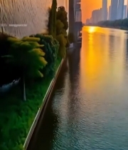  城市河畔日落风光72#竖屏 	 