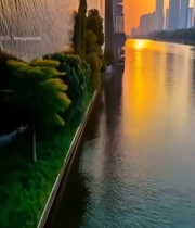  城市河畔日落风光72#竖屏 	 