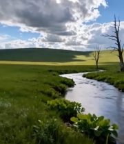  草原溪流自然风光素材2415#竖屏 	 