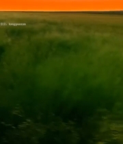  草原黄昏自然风光7611#竖屏 	 