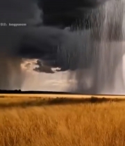  草原上乌云降雨自然景象345#竖屏 	 