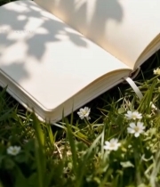  草地上的翻开的空白书籍7232#竖屏 	 