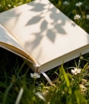  草地上翻开的书籍(1)6935#竖屏 	 