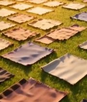  草地上晾晒的方形物品698#竖屏 	 