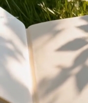  草地上翻开的书籍3170#竖屏 	 