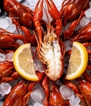  冰盘上摆放的新鲜小龙虾544#竖屏 	 