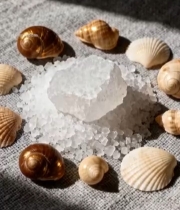  白冰糖与贝壳静物特写2374#竖屏 	 