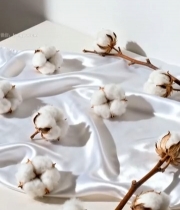  白色丝绸上的棉花素材22#竖屏 	 